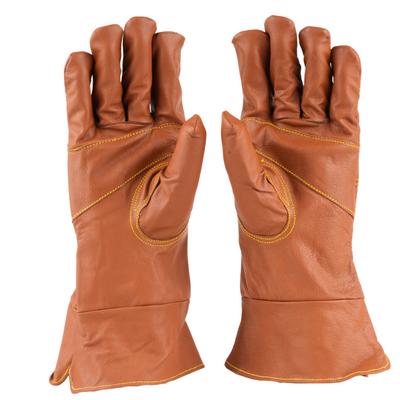 6-668fd3c0-72c9-42e4-ad98-ee0d358539e9-400x